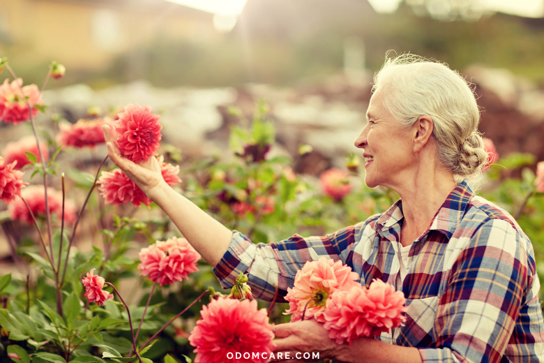An aging adult woman with gray hair, dressed in a plaid shirt, is in a garden surrounded by vibrant pink flowers. She is smiling as she tends to the flowers, enjoying the outdoor activity. The website 'ODOMCARE.COM' is displayed at the bottom.