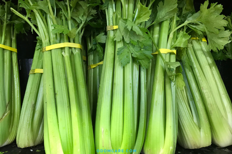Fresh green celery stalks.