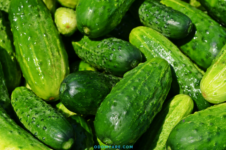 Fresh cucumbers piled together, showcasing their vibrant green color.